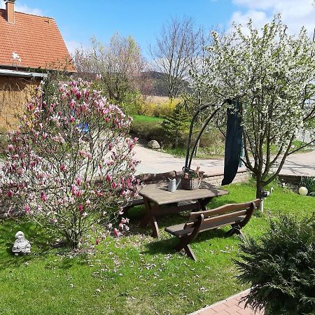 Familienfreundliche Ferienwohnung Auf Dem Lande Monteur Wohnung 黑森奥尔登多夫 外观 照片