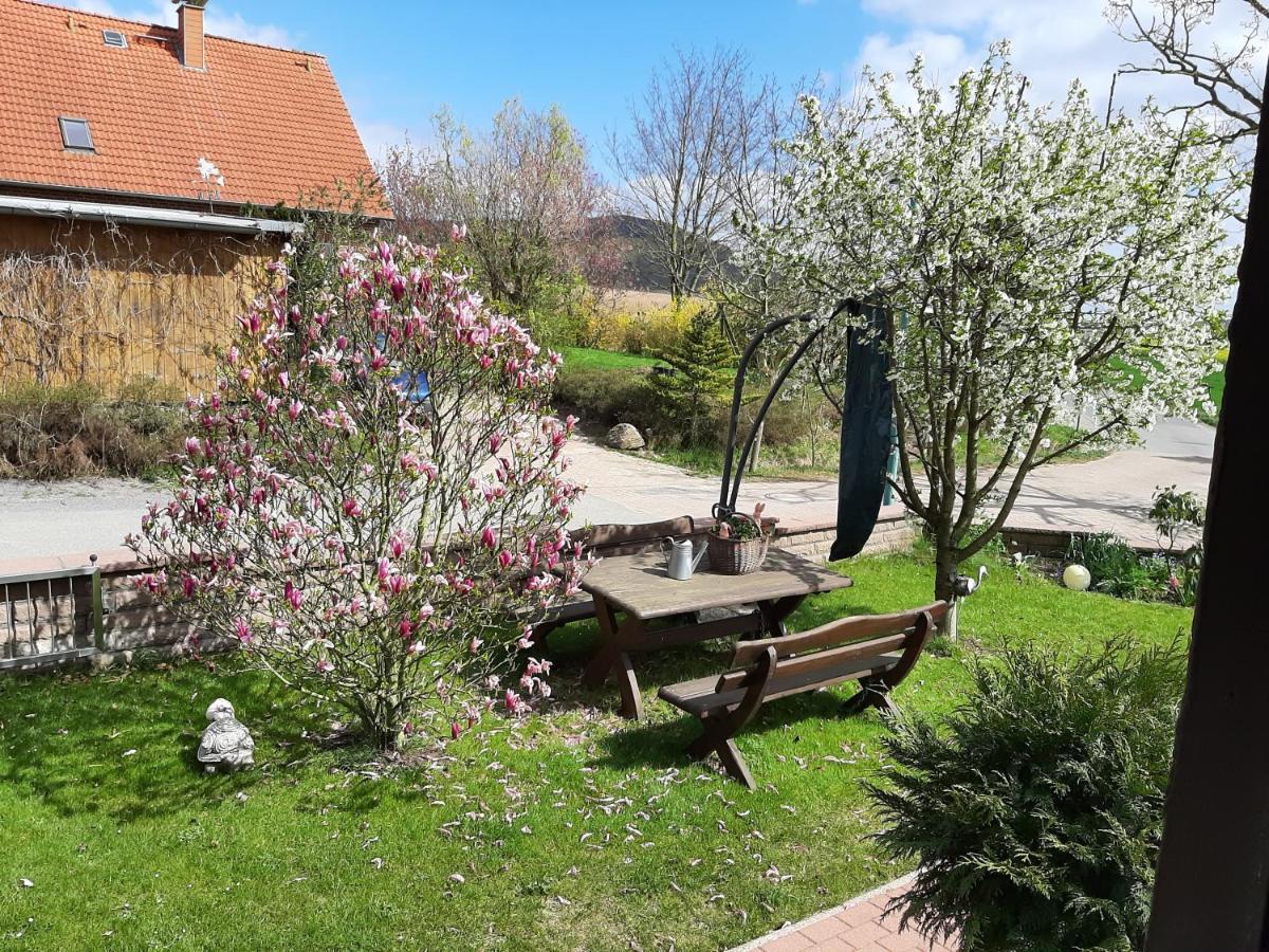Familienfreundliche Ferienwohnung Auf Dem Lande Monteur Wohnung 黑森奥尔登多夫 外观 照片